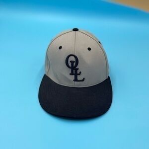 OLL Lions Richardson Embroidered Fitted Hat